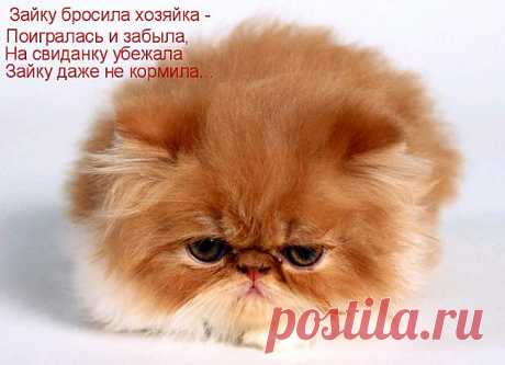 пьяная баба пи де не хозяйка зрелище не для слабонервных фото - 58 картинок. Поиск Mail.Ru