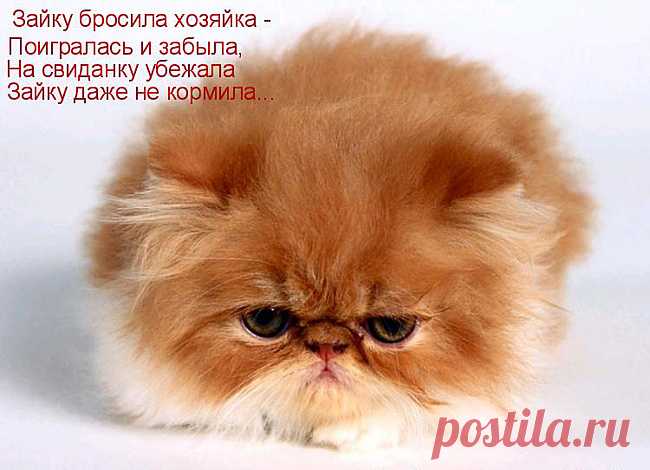 пьяная баба пи де не хозяйка зрелище не для слабонервных фото - 58 картинок. Поиск Mail.Ru