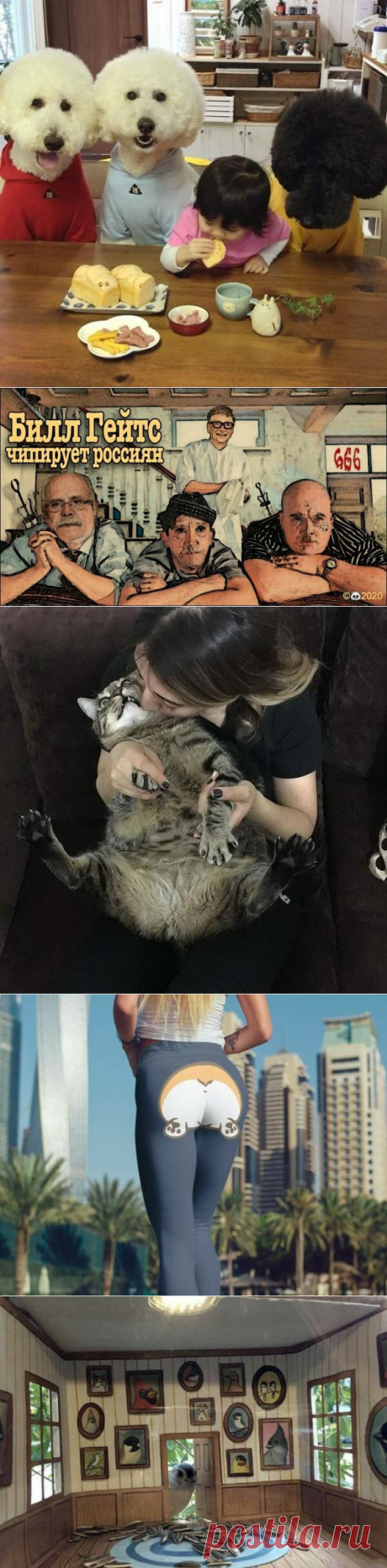 Подборка прикольных картинок и фотографий-251 | glebas@tut.by | Яндекс Дзен