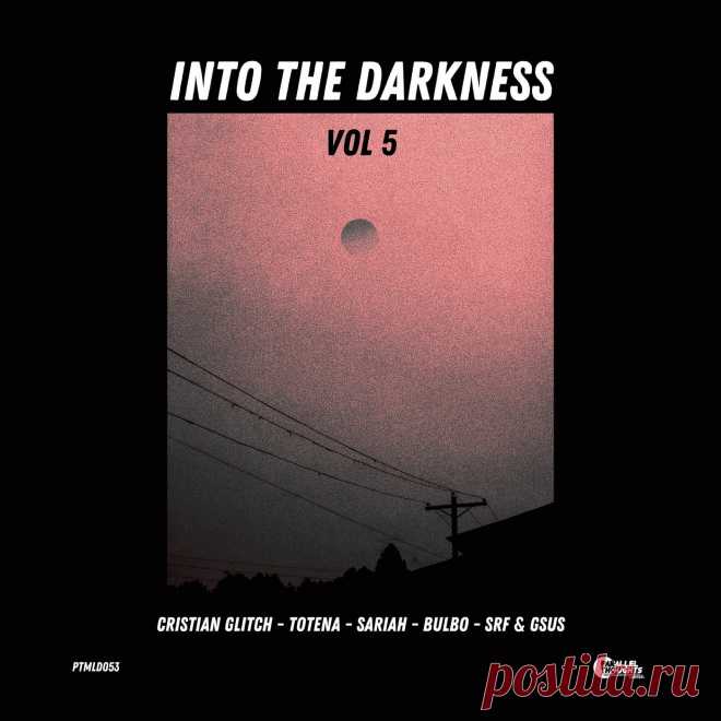 VA - Into the Darkness, Vol. 5 PTMLD053 » MinimalFreaks.co