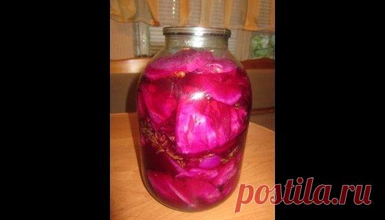 квашеная капуста со свёклой по армянски - 1 тыс. результатов. Поиск Mail.Ru