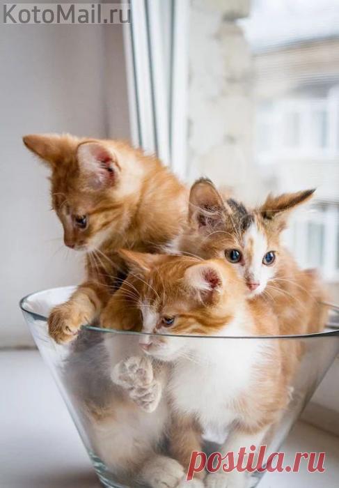 В тесноте да не в обиде