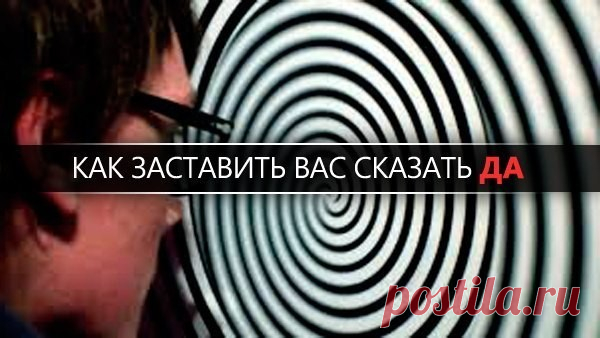 Как заставить вас сказать «да» | Журнал 
