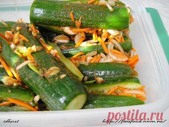 Кимчи из огурцов (Очень вкусная, острая закуска из огурцов!!!))) - Простые рецепты Овкусе.ру