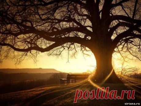 *~ With Love~* Ленчик* - Екатеринбург, Свердловская обл., Россия, 39 лет на Мой Мир@Mail.ru