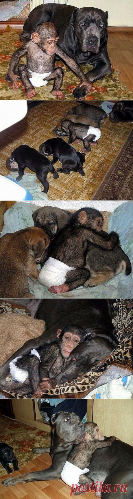 Чужих детей не бывает!!!