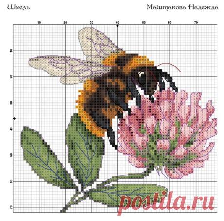 3325b6fc931332f8d0f126b0b68d79d8.jpg (Изображение JPEG, 736 × 727 пикселов) - Масштабированное (86%)