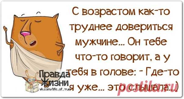 Вся правда жизни и много прикольных мыслей