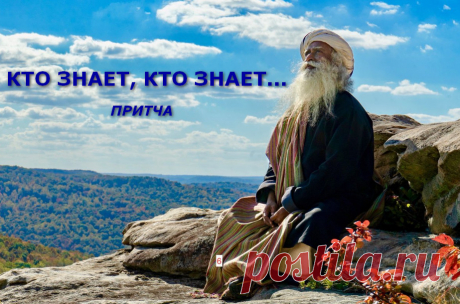 Кто знает, кто знает... (притча) &amp;raquo; Женский Мир