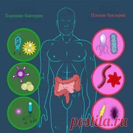 6 способов восстановления микрофлоры кишечника / Будьте здоровы