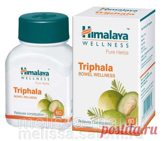 Детокс капсулы Трифала Himalaya Triphala Bowel Wellness, 60 капсул, Индия купить в Московской области. Сравнить Детокс капсулы Трифала Himalaya Triphala Bowel Wellness, 60 капсул, Индия цену: 425.00 руб с другими недорогими товарами, отзывы, доставка. Интернет магазин 