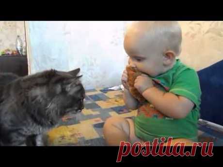 Real Friends: One Dinner For Two - YouTube. Настоящие друзья: один обед на двоих.