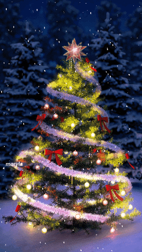 Happy Holidays