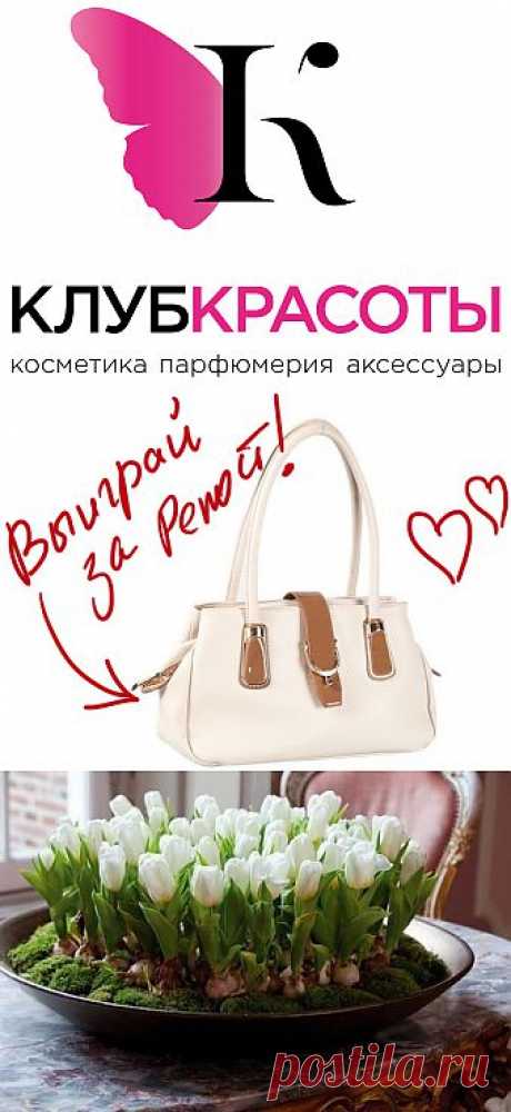 Домашняя клумба с тюльпанами. Выиграйте стильную сумку от интернет-магазина Клуб Красоты, разместив любой пост с сайта 7dach.ru в Постиле. Чем больше постов - тем выше шансы. Розыгрыш состоится в понедельник, 16 декабря. В акции участвуют все посты, которые содержат этот текст и фото сумки!