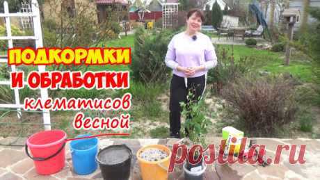 Статьи, новости и видео от популярных блогеров и СМИ | Будь в теме — будь в Дзене