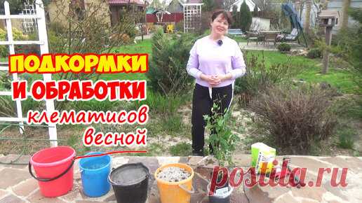 Статьи, новости и видео от популярных блогеров и СМИ | Будь в теме — будь в Дзене