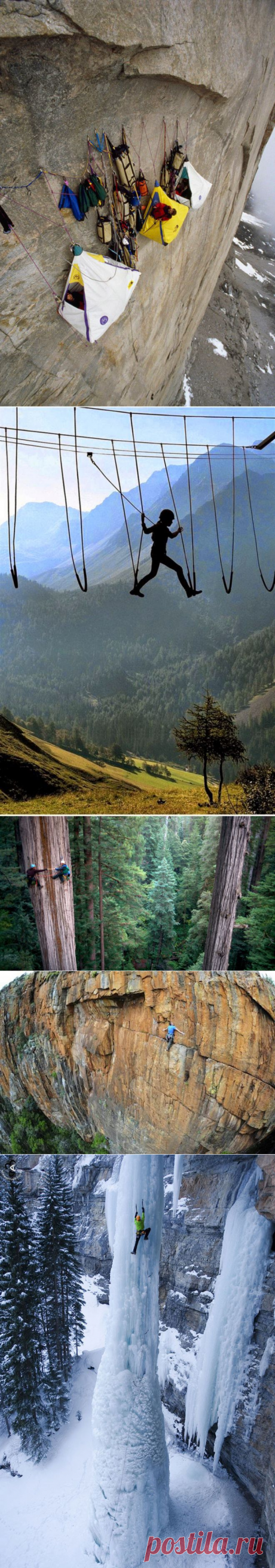 32 леденящих душу фотографий, на которые даже страшно смотреть