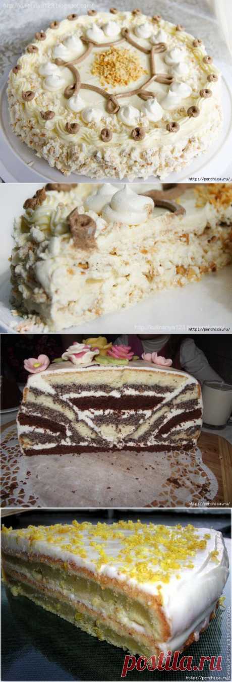 Всё самое модное, интересное и вкусное вы найдёте у perchica