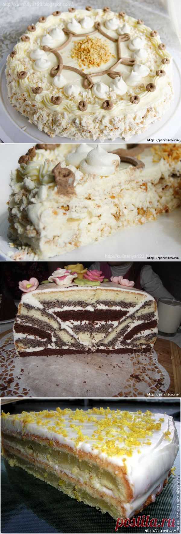 Всё самое модное, интересное и вкусное вы найдёте у perchica