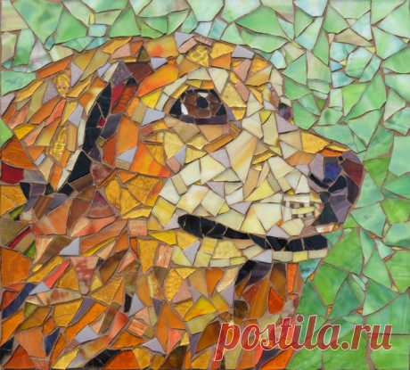 Pets | Stevo Mosaics