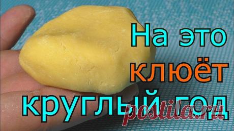 Тесто для рыбалки Как сделать тесто для рыбалки . My fishinghttps://www.youtube.com/channel/UCwzp3SPFrCSh2bX9UtIXEWQhttps://youtu.be/0m3wo-OFhv8В данном видео я покажу рецепт ...