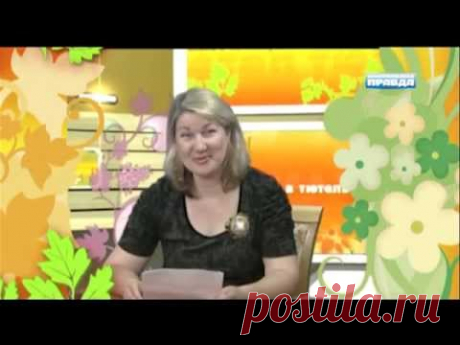 Рождение лотоса