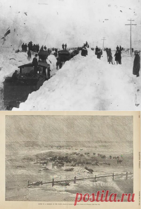 Чудовищная метель, превратившая Канзас в замерзшую Пустошь. | Fraid | Яндекс Дзен