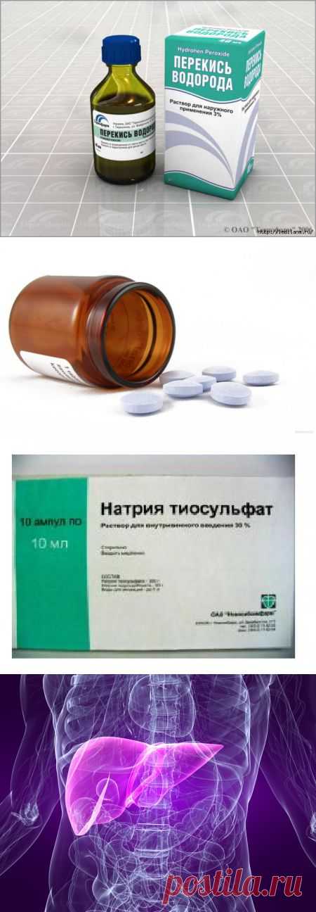 МЕДИЦИНА, ЗДОРОВЬЕ=РАЗНОЕ