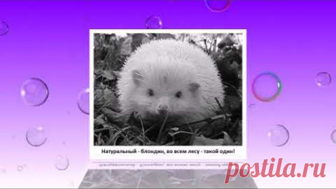 Давайте посмеёмся!