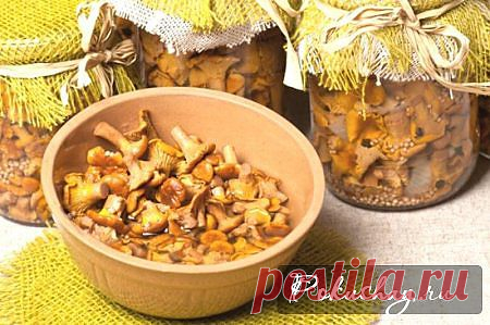 Как солить лисички на зиму – фото рецепт засолки грибов / рецепт с фото