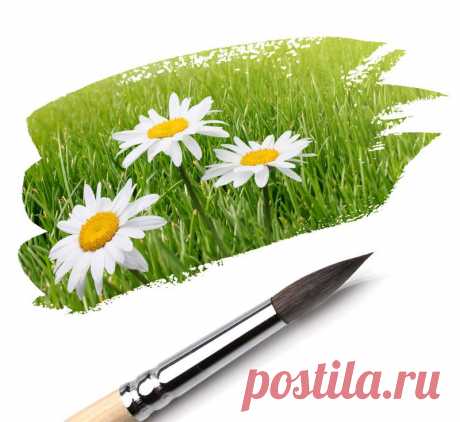 рука и ромашка: 32 тыс изображений найдено в Яндекс.Картинках
