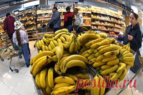 Эквадор заявил о готовности опровергнуть любые претензии к своим бананам. Правительство Эквадора подготовило и отправило в Россию техническое обоснование для пересмотра российских ограничений на импорт своих бананов, после чего готово ответить на все вопросы, заявила министр внешней торговли Сонсолес Гарсия. По ее словам, власти убеждены, что смогут опровергнуть все претензии.