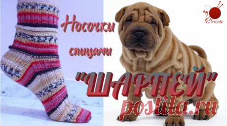 Носочки спицами. &quot;ШАРПЕЙ&quot;.