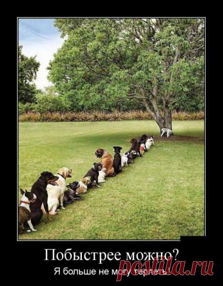 Приятного полета (30 фото)