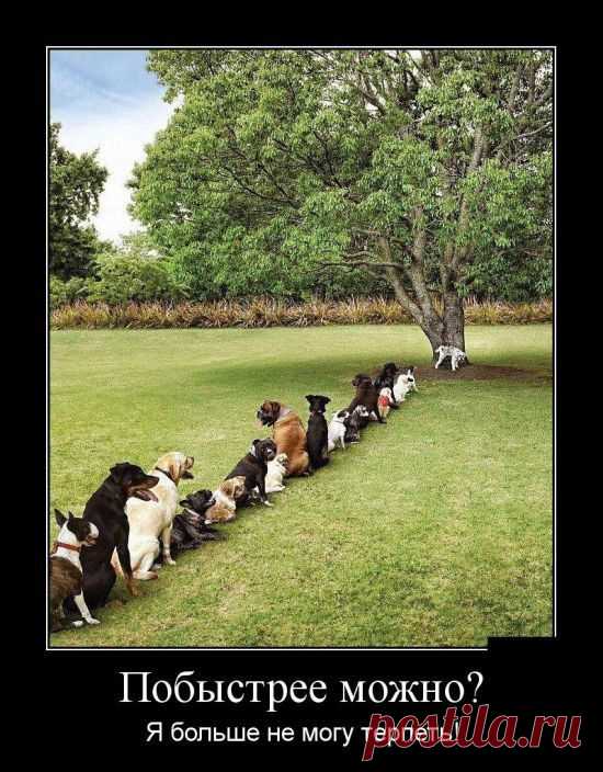 Приятного полета (30 фото)