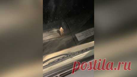 В Башкирии автомобиль с людьми ушел под лед. В Бурятии спасатели нашли троих людей, которые провалились на машине под лед. Об этом сообщает ФГКУ &quot;Байкальский поисково-спасательный отряд МЧС России&quot;. Инцидент произошел на Байкале. Россияне оказались в воде, но смогли ...