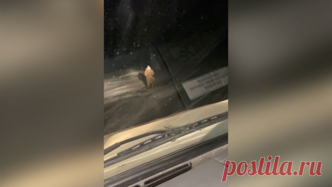 В Башкирии автомобиль с людьми ушел под лед. В Бурятии спасатели нашли троих людей, которые провалились на машине под лед. Об этом сообщает ФГКУ "Байкальский поисково-спасательный отряд МЧС России". Инцидент произошел на Байкале. Россияне оказались в воде, но смогли ...