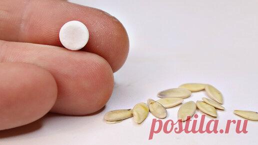 В чем замочить семена огурцов перед посадкой чтобы повысить урожайность кустов? | Сад огород life | Дзен