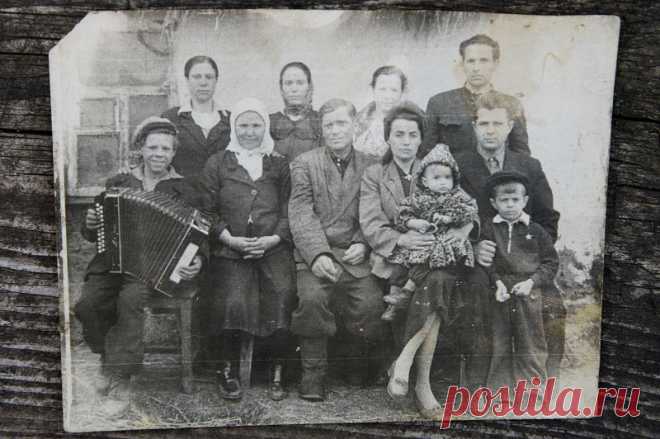 Как пустеют воронежские деревни. Вознесеновка была основана в 20-х годах ХХ века переселенцами из соседних сел и деревень. Во времена СССР здесь был мощный колхоз имени Фрунзе, а сам поселок насчитывал примерно 120–130 домов. Тут были начальная школа, клуб, развалины которого еще сохранились, магазин. Его здание прячется в зарослях молодого клена, помещение заперто на замок.