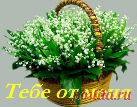 Интересные новости
