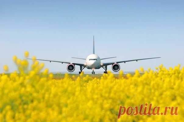 GO! Где Отдохнуть? | Путешествия и туризм^^