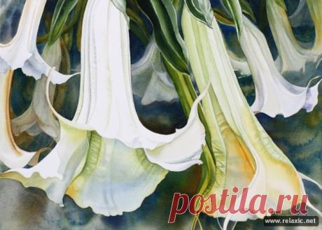 Красота в квадрате — акварельные сады Марни Вард