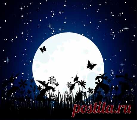 Влияние фазы луны на растения - Экологическое землетворчество | Экологическое землетворчество