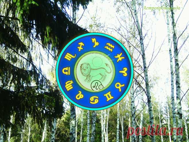 ✨♌ Гороскоп для Льва с 3 по 31 октября 2022 ✧ Автор: астролог Нина Стрелкова. 
✧ Весь месяц благоприятен для умственной работы, изучения чего-либо, разгадывания тайн и поиска причин. Возможны частые встречи, знакомства, обмен мыслями и идеями, решение важных вопросов. Последняя декада октября под влиянием солнечного затмения, в это время больше вероятности совершить непоправимую ошибку, поэтому все делайте с большой осторожностью и без лишних эмоций...