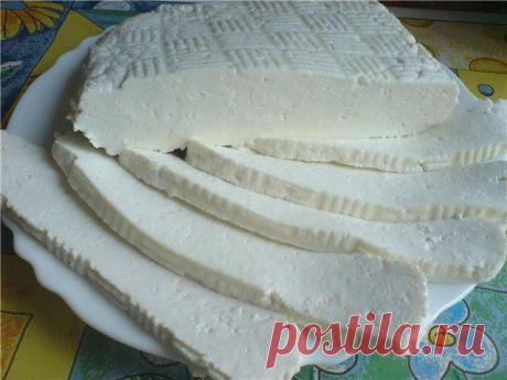 Подборка блюд с адыгейским сыром