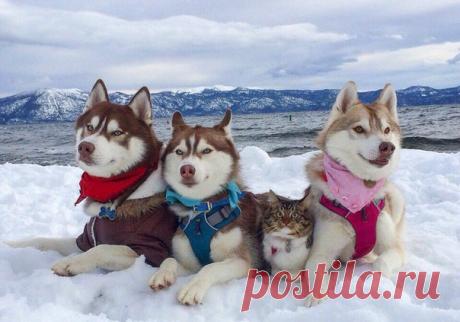 Мой Мир@Mail.Ru