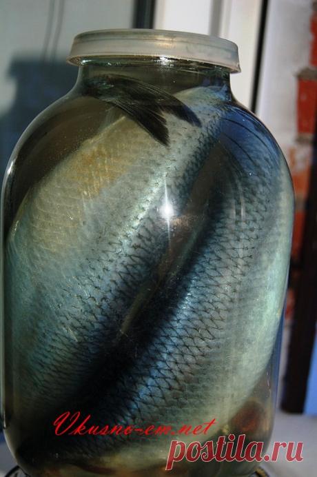 Малосольная селёдка в домашних условиях