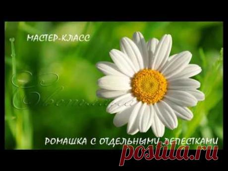 Вышивка лентами. Ромашка с отдельными лепестками/Embroidery ribbons. Daisy