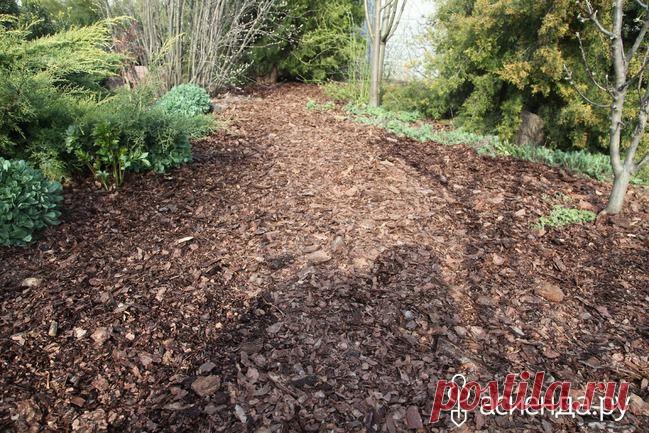 Почва как живой организм 2 - мульча: Группа Практикум садовода и огородника