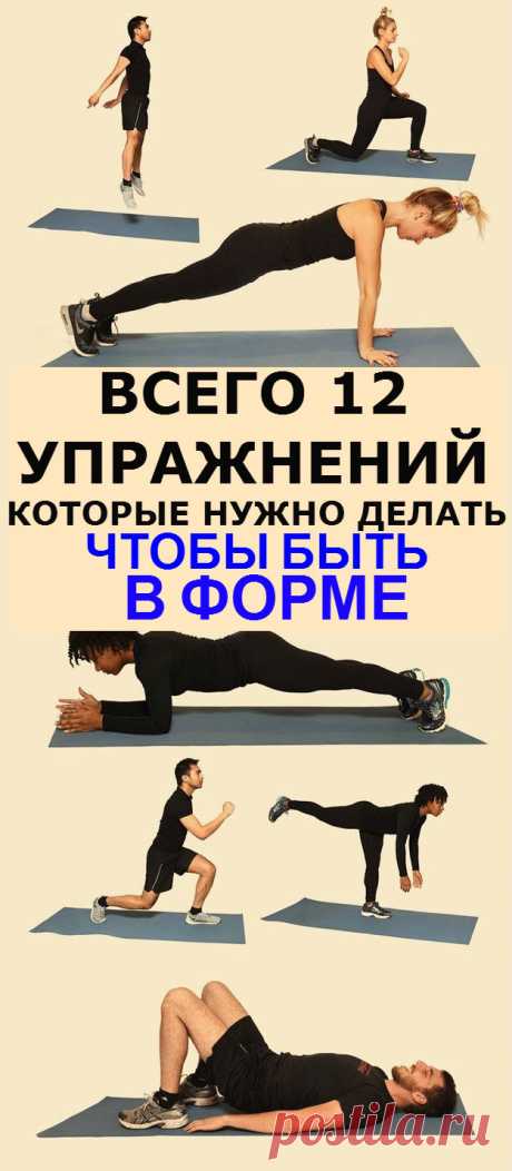 Lifter | 12 упражнений, которых хватит, чтобы всегда быть в форме!